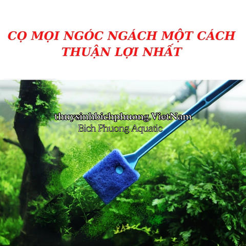 CÂY LAU CHÙI | CỌ VỆ SINH HỒ CÁ TIỆN LỢI