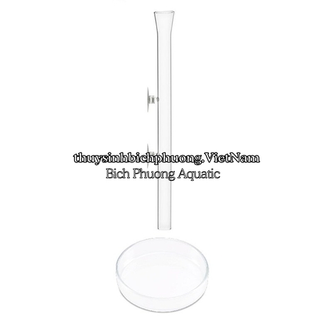 COMBO ỐNG CHÉN THỦY TINH CHO TÉP ĂN