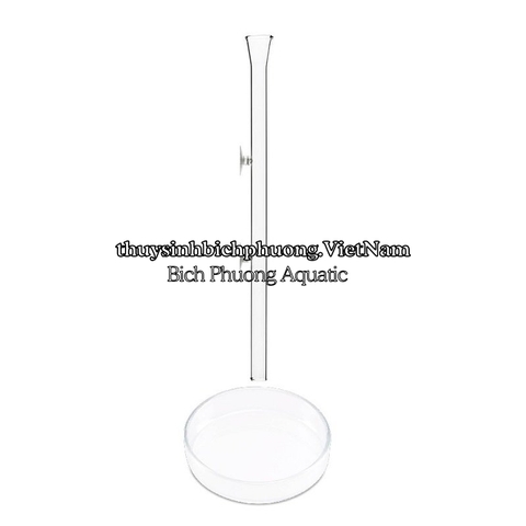 COMBO ỐNG CHÉN THỦY TINH CHO TÉP ĂN