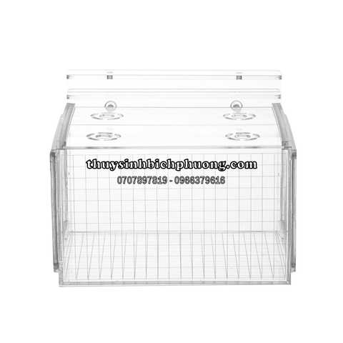 BOX ACRYLIC DƯỠNG | SHOW CÁ TÉP (BT20)