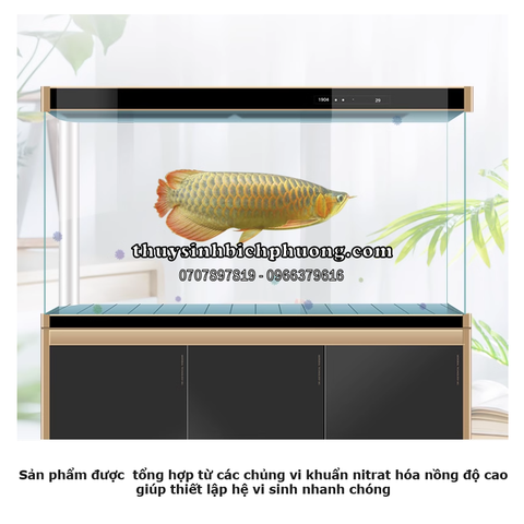BIOZYM BACTERIA FOR AROWANA & STINGRAY - VI SINH ĐẬM ĐẶC CHO CÁ RỒNG, CÁ ĐUỐI, CÁ SĂN MỒI