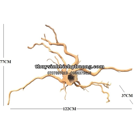 BP6 - BỘ LŨA GỖ ĐỖ QUYÊN NGUYÊN KHỐI