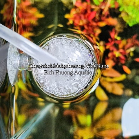 CỐC CHỤP SỦI OXY CHỐNG VĂNG (TẶNG KÈM DÂY + ĐẦU SỦI)