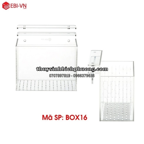 BOX ACRYLIC DƯỠNG | SHOW CÁ TÉP (BOX16)
