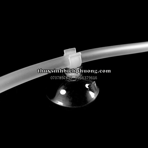 NÚM HÍT, GIÁC HÍT, NÚT HÍT, CỐC HÍT, KẸP HÍT GIỮ ỐNG OXY/CO2, IN OUT – HÍT KÍNH, HÍT TƯỜNG GẠCH MEN