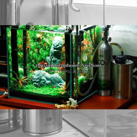 TRU INOX EXTERNAL FILTER INOX 304 NANO - LỌC THÙNG MINI