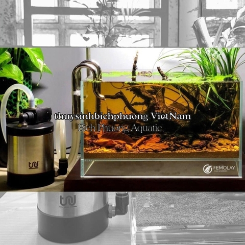 TRU INOX EXTERNAL FILTER INOX 304 NANO - LỌC THÙNG MINI