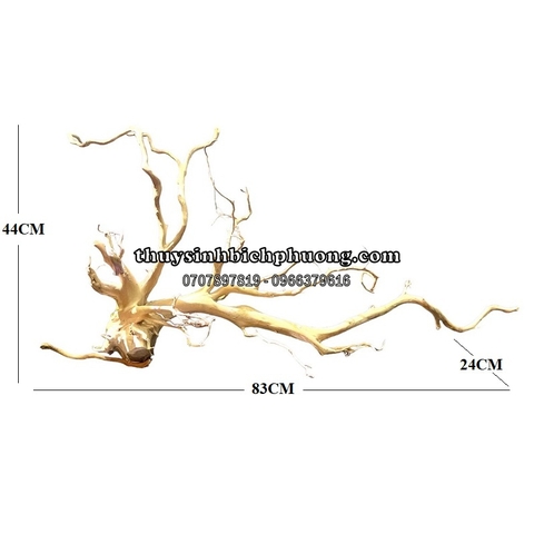 BP17 - BỘ LŨA GỖ ĐỖ QUYÊN NGUYÊN KHỐI