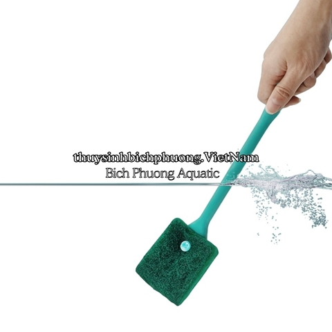 CÂY LAU CHÙI | CỌ VỆ SINH HỒ CÁ TIỆN LỢI