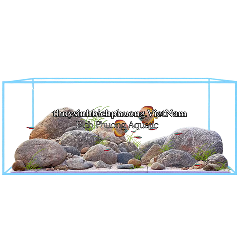 BỐ CỤC / LAYOUT ĐÁ CUỘI 1 - BIOTOP