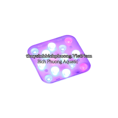 BIAOSE MARINE LIGHT - ĐÈN LED HỒ CÁ BIỂN