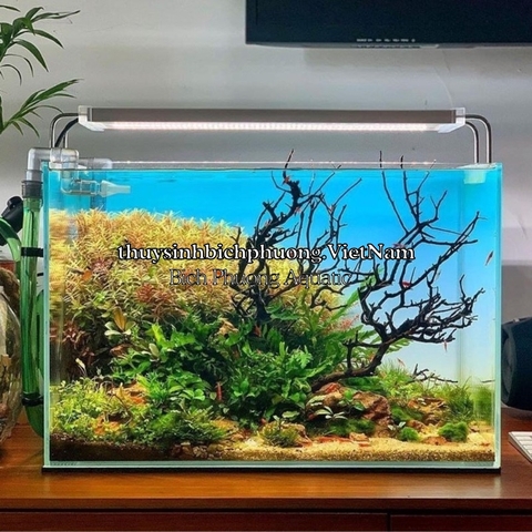 DECAL OPEN SKY BLUE STYLE ADA