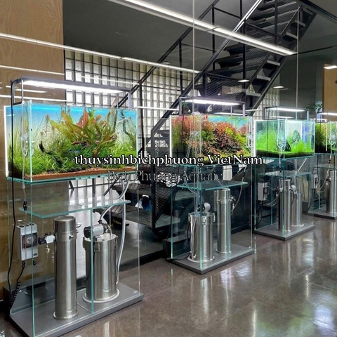 DECAL OPEN SKY BLUE STYLE ADA