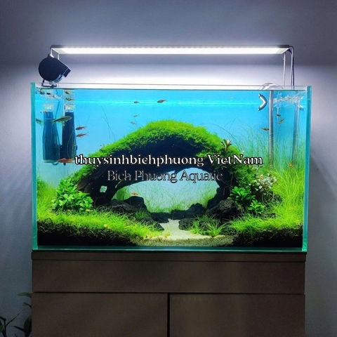 DECAL OPEN SKY BLUE STYLE ADA