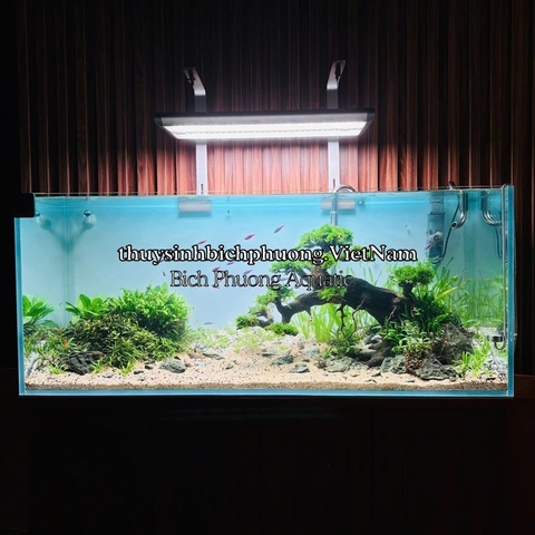 DECAL OPEN SKY BLUE STYLE ADA