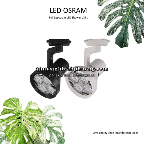 ĐÈN LED RAY - ĐÈN RỌI BÁN CẠN OSRAM 35W ÁNH SÁNG TRẮNG | VÀNG ẤM | VÀNG TRUNG TÍNH (CHÓA YP)