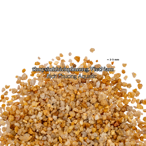 GOLDEN SHIMMER PEBBLE | SỎI NẮNG VÀNG KIM SA