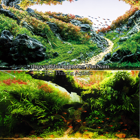 GOLDEN SHIMMER PEBBLE | SỎI NẮNG VÀNG KIM SA