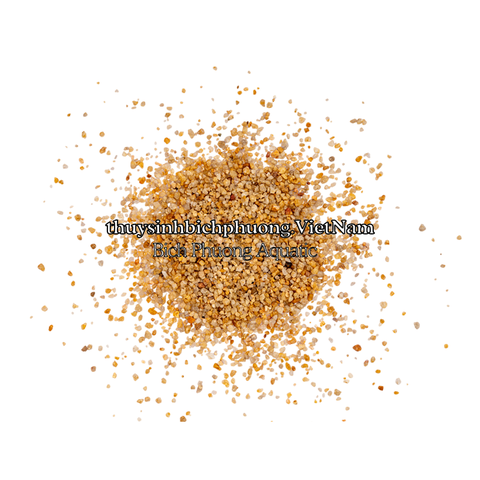 GOLDEN SHIMMER PEBBLE | SỎI NẮNG VÀNG KIM SA