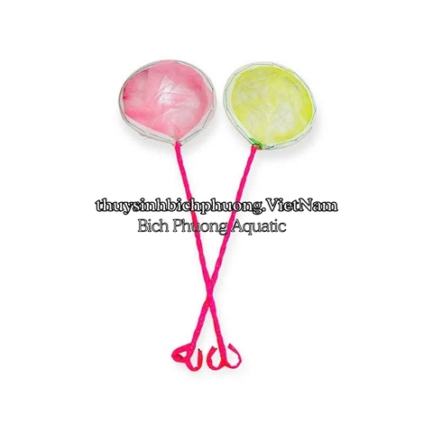 VỢT LƯỚI MỊN MINI DIY – VỢT VỚT CÁ CON, BOBO, ARTEMIA