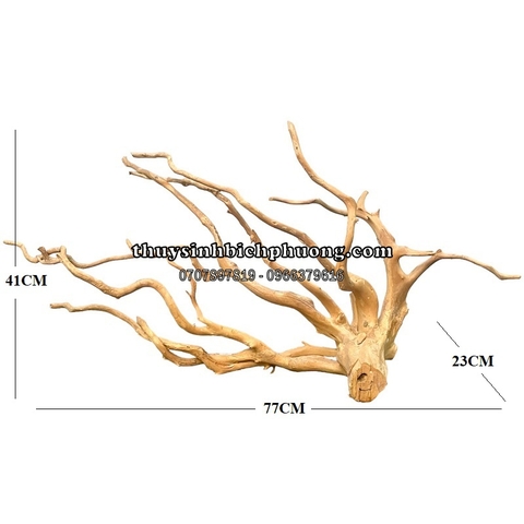 BP14 - BỘ LŨA GỖ ĐỖ QUYÊN NGUYÊN KHỐI