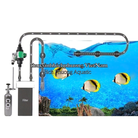 TRỘN CO2 ATMAN DIFFUSER 3 IN 1