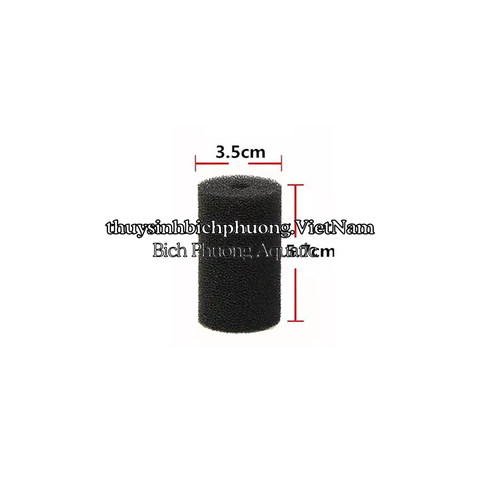BỊT TÉP MÚT XỐP ĐEN - CHẶN ĐẦU IN CỦA LỌC