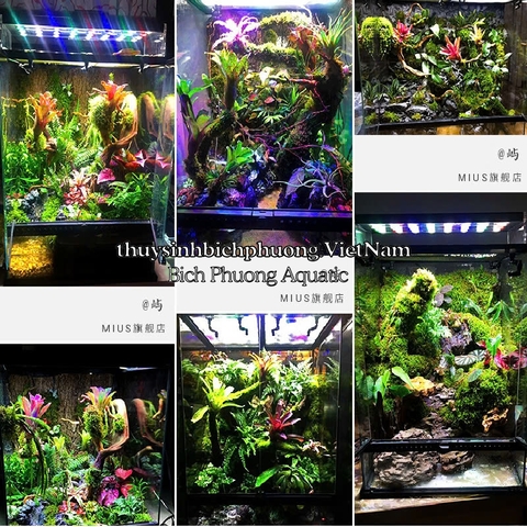 KEO XỊT MIUS MOS GUM -  DÁN RÊU, DÁN CÂY CHO HỒ BÁN CẠN, KIỂNG LÁ