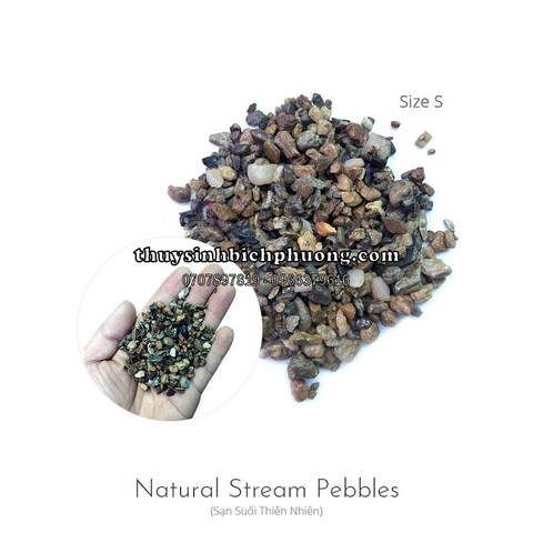 FEMOLAY NATURAL STREAM GRAVEL SIZE S - SẠN SUỐI TỰ NHIÊN