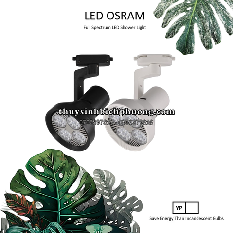 ĐÈN LED RAY | ĐÈN RỌI BÁN CẠN OSRAM  WRGB 35W VÀ COLD WHITE 40W  (CHÓA YP)