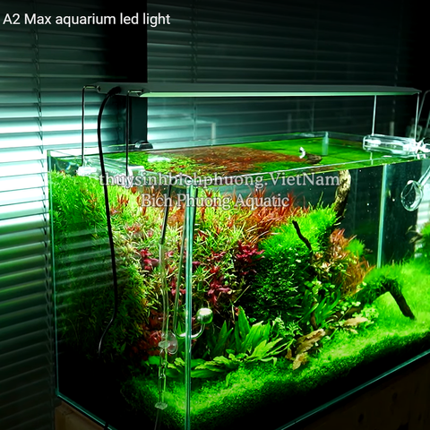 ĐÈN LED CHIHIROS A2 MAX LED LIGHT