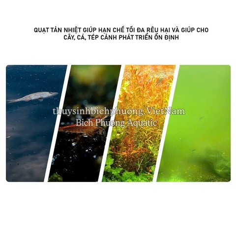 AQUA WORLD / UP AQUA COOLING FAN - QUẠT TẢN NHIỆT