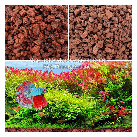 ĐÁ NHAM THẠCH ĐỎ | RED LAVA ROCK - VẬT LIỆU LỌC, TRANG TRÍ, SETUP