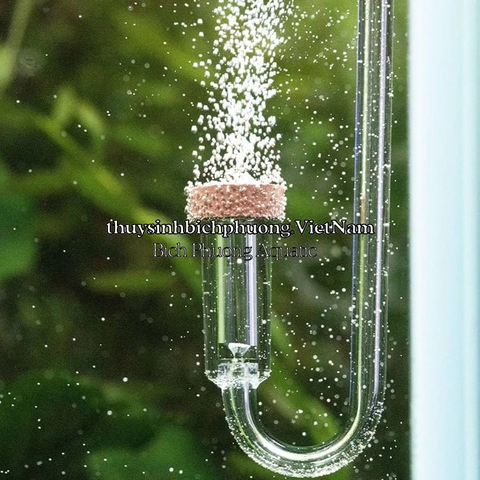 CỐC SỦI CO2 AQUARIO NEO CO₂ DIFFUSOR ORIGINAL SIZE S/M/L SIÊU MỊN