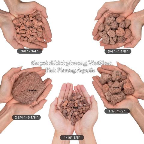 ĐÁ NHAM THẠCH ĐỎ | RED LAVA ROCK - VẬT LIỆU LỌC, TRANG TRÍ, SETUP