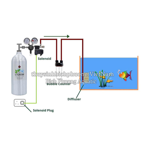 UP AQUA CO2 CYLINDER – BÌNH CO2 NHÔM THỦY SINH NHỎ GỌN, SANG TRỌNG, THẨM MỸ