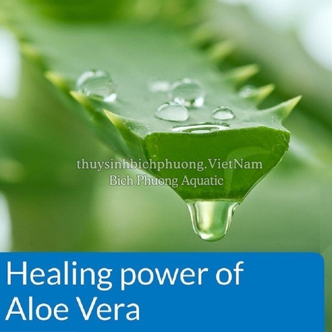 API POND STRESS COAT - GIẢM STRESS, GIÚP CÁ SUNG, ĂN MẠNH