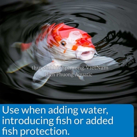 API POND STRESS COAT - GIẢM STRESS, GIÚP CÁ SUNG, ĂN MẠNH