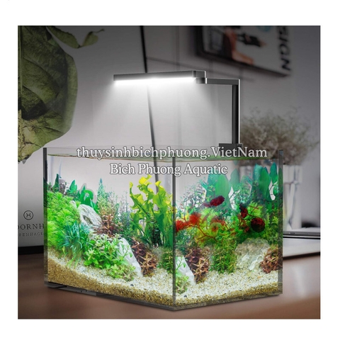 ĐÈN LED CHIHIROS CII/C2 CAO CẤP