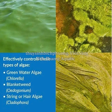 API  ALGAEFIX - PHÒNG VÀ ĐIỀU TRỊ RÊU HẠI, TẢO HẠI CHO HỒ CÁ CẢNH