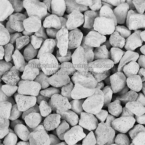 SEACHEM DE NITRATE 4L - VẬT LIỆU LỌC KHỬ NITRATE