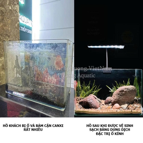 ĐẶC TRỊ MỐC KÍNH, TẨY CẶN CANXI CAXINH