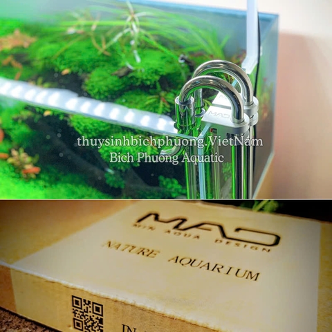 IN OUT INOX MAD FI12, FI16 - PHỤ KIỆN CHO LỌC THÙNG HỒ CÁ