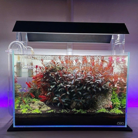 CHIHIROS AQUA SOIL - PHÂN  NỀN | ĐẤT NỀN CHO CÂY THỦY SINH