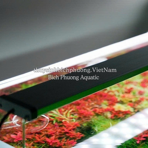 CHIHIROS B SERIES – ĐÈN LED HỒ CÁ THỦY SINH