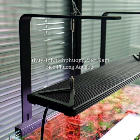 KIT CHIHIROS WRGB 2 SLIM & WRGB 2 PRO - CÁP TREO ĐÈN