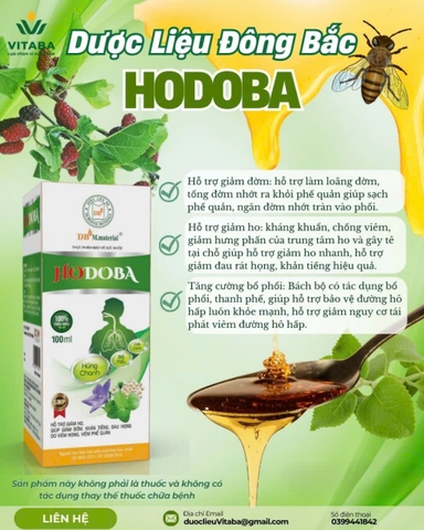 Thuốc ho mãn tính Hodoba - kháng khuẩn, kháng viêm hỗ trợ ho lâu ngày, đờm