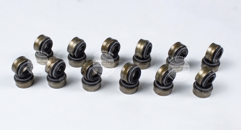 Phốt git xupap máy cummins QSM11 | 923976.1917, 4003966