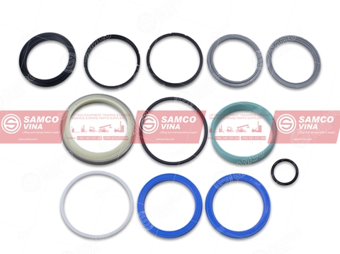 Bộ seal phốt ty Spreading (20-40) DRD100, DRF450, DRF100 | A26334.0200