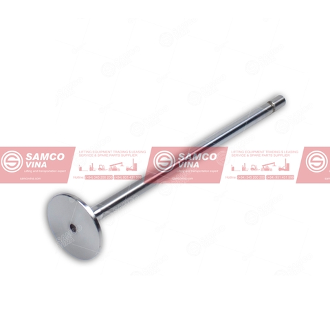 Xupap hút 1250VE | 20463800